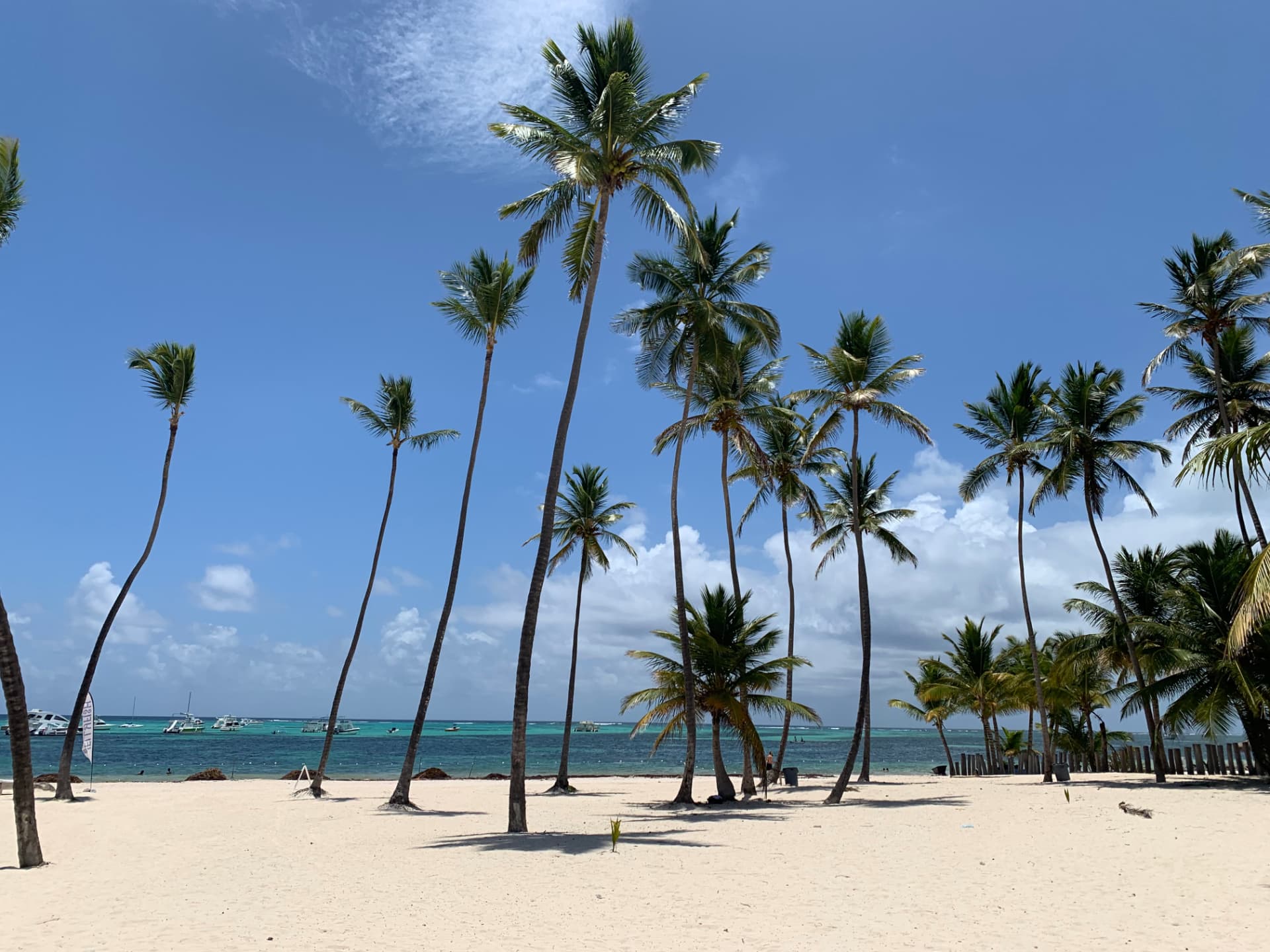 Palm beach, Dominican Republic