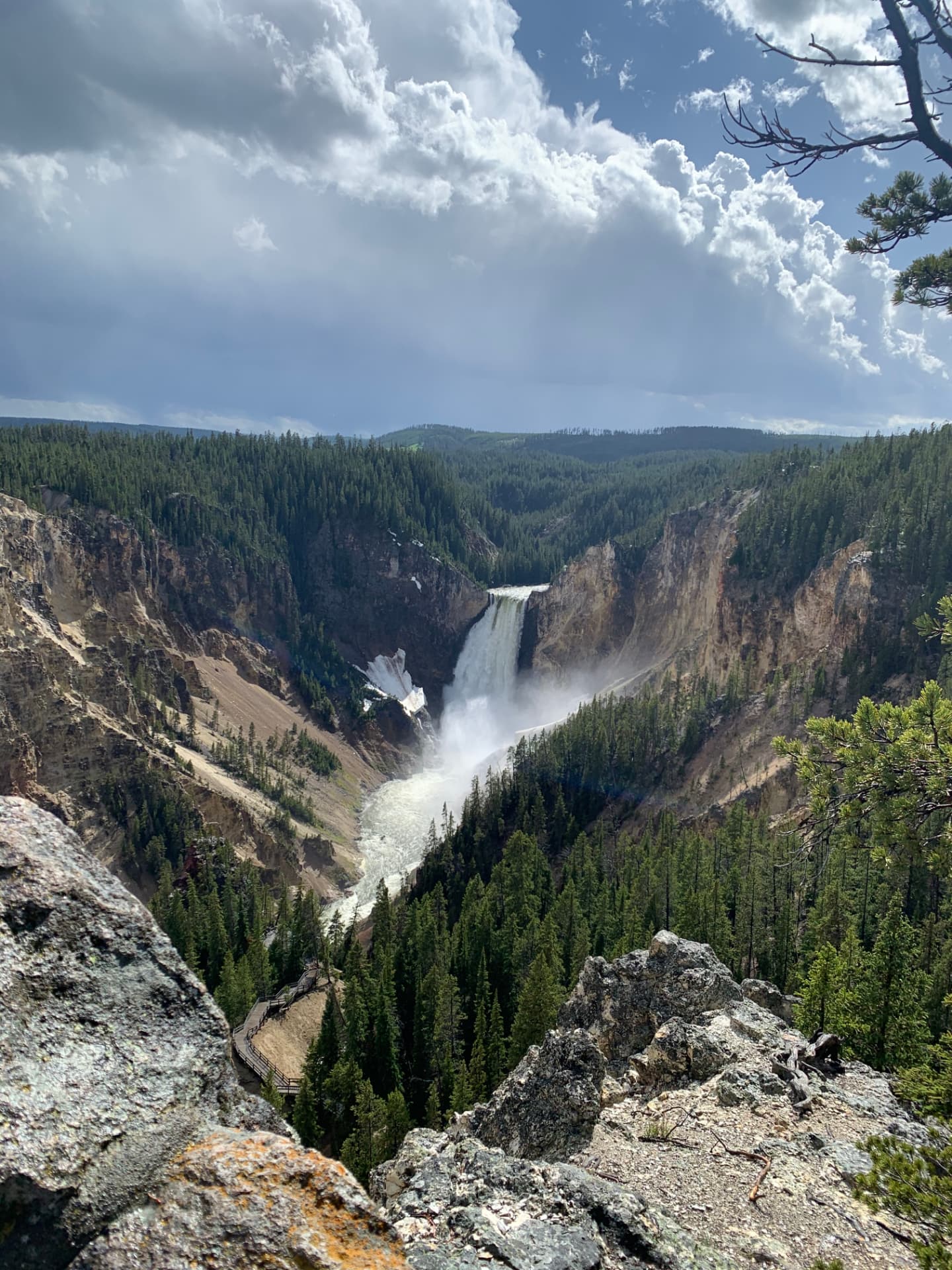 Lower Falls, Yellowstone