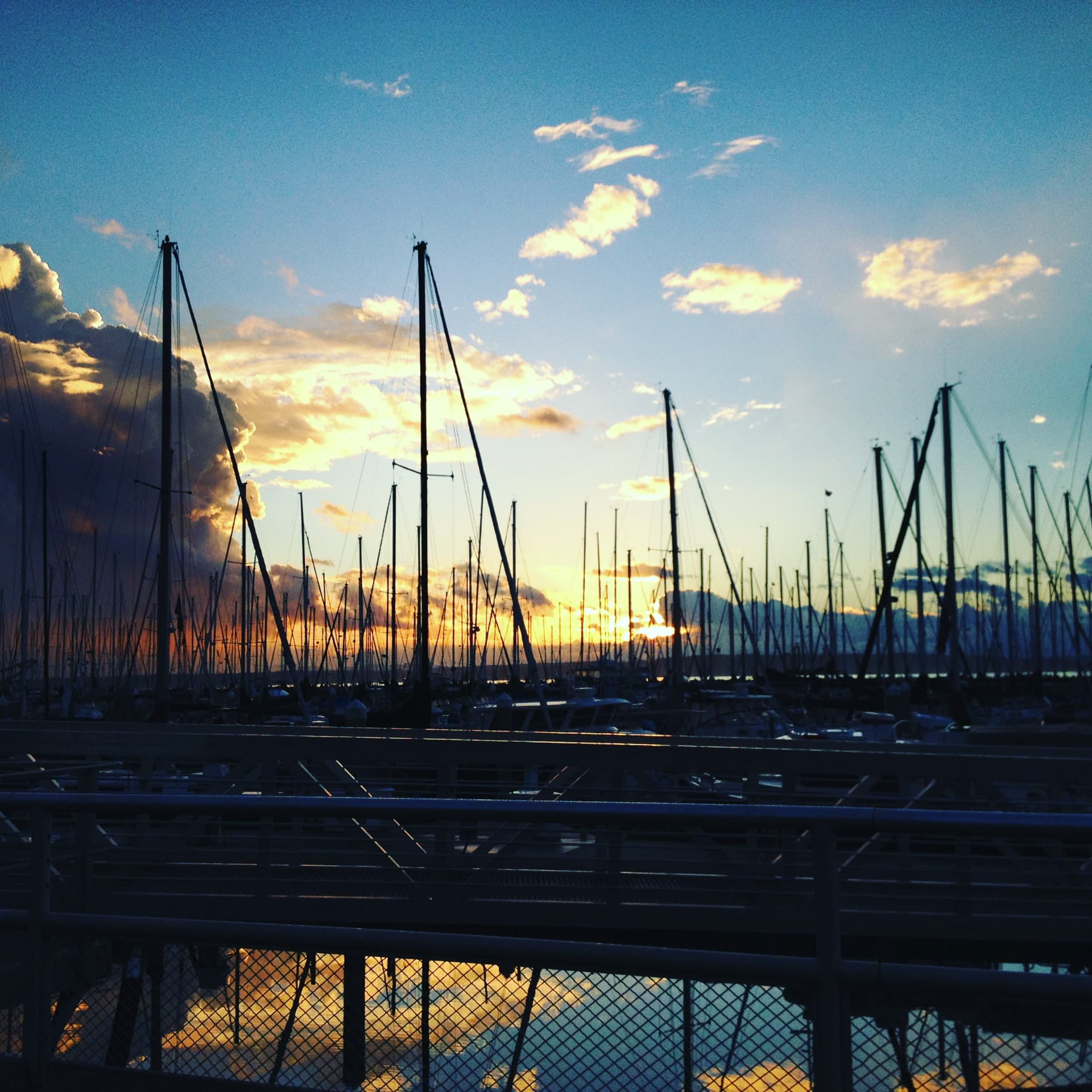 Marina, Puget Sound